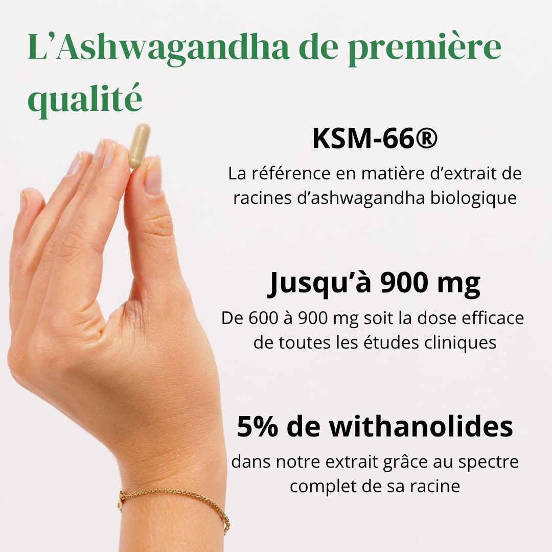 Ashwagandha KSM-66® + Magnésium & Tryptophane