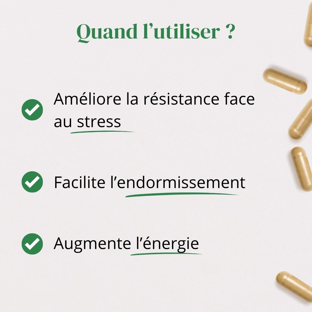 Ashwagandha KSM-66® + Magnesio y Triptófano