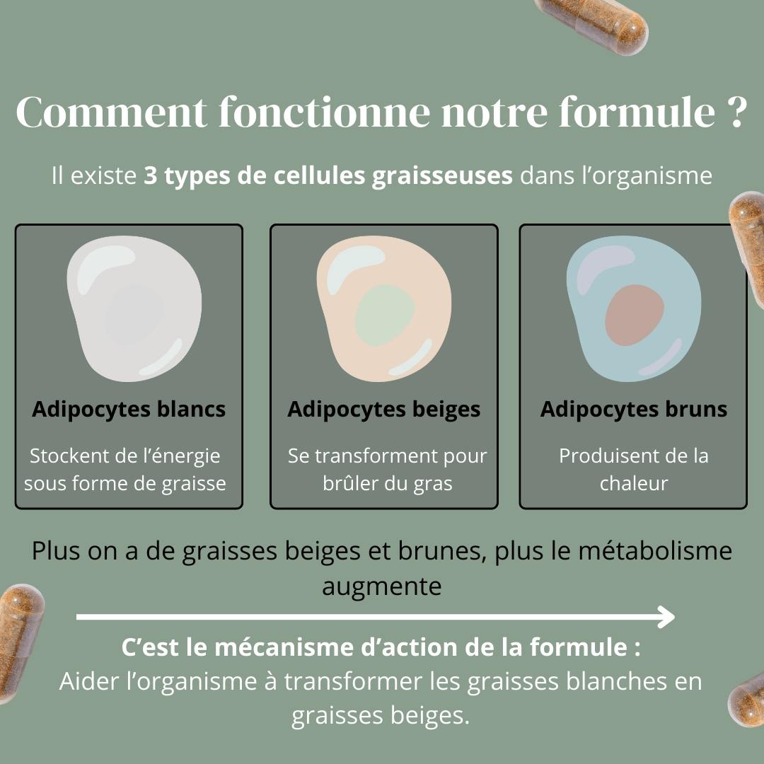 Pack Minceur avec Hydrology