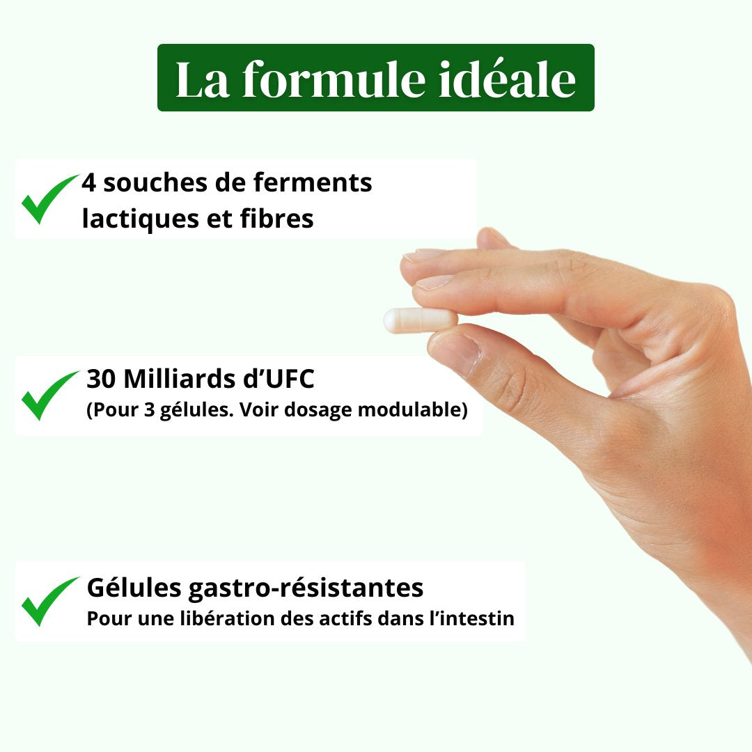 Probiotiques & fibres Prébiotiques