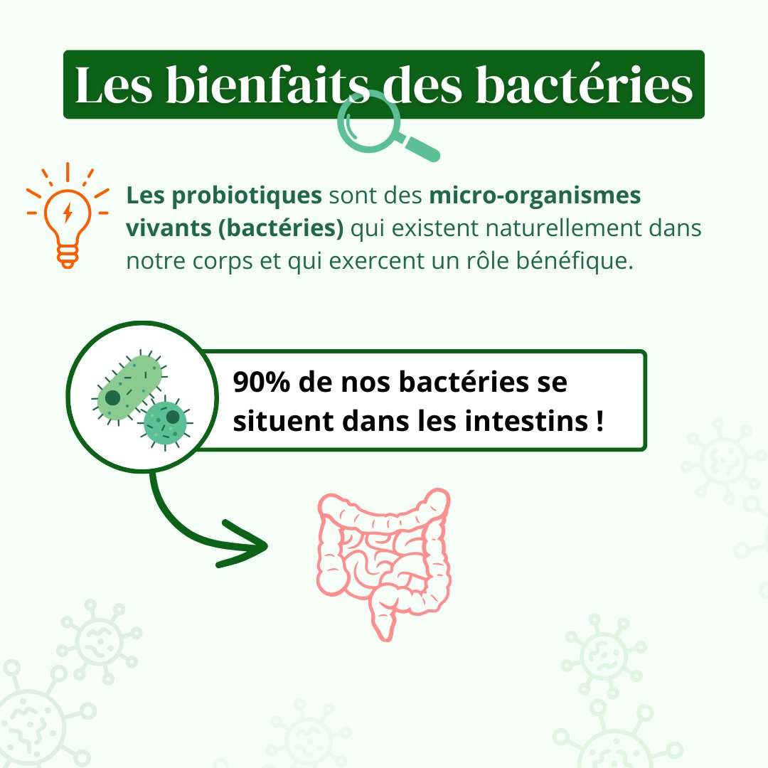 Probiotiques & fibres Prébiotiques