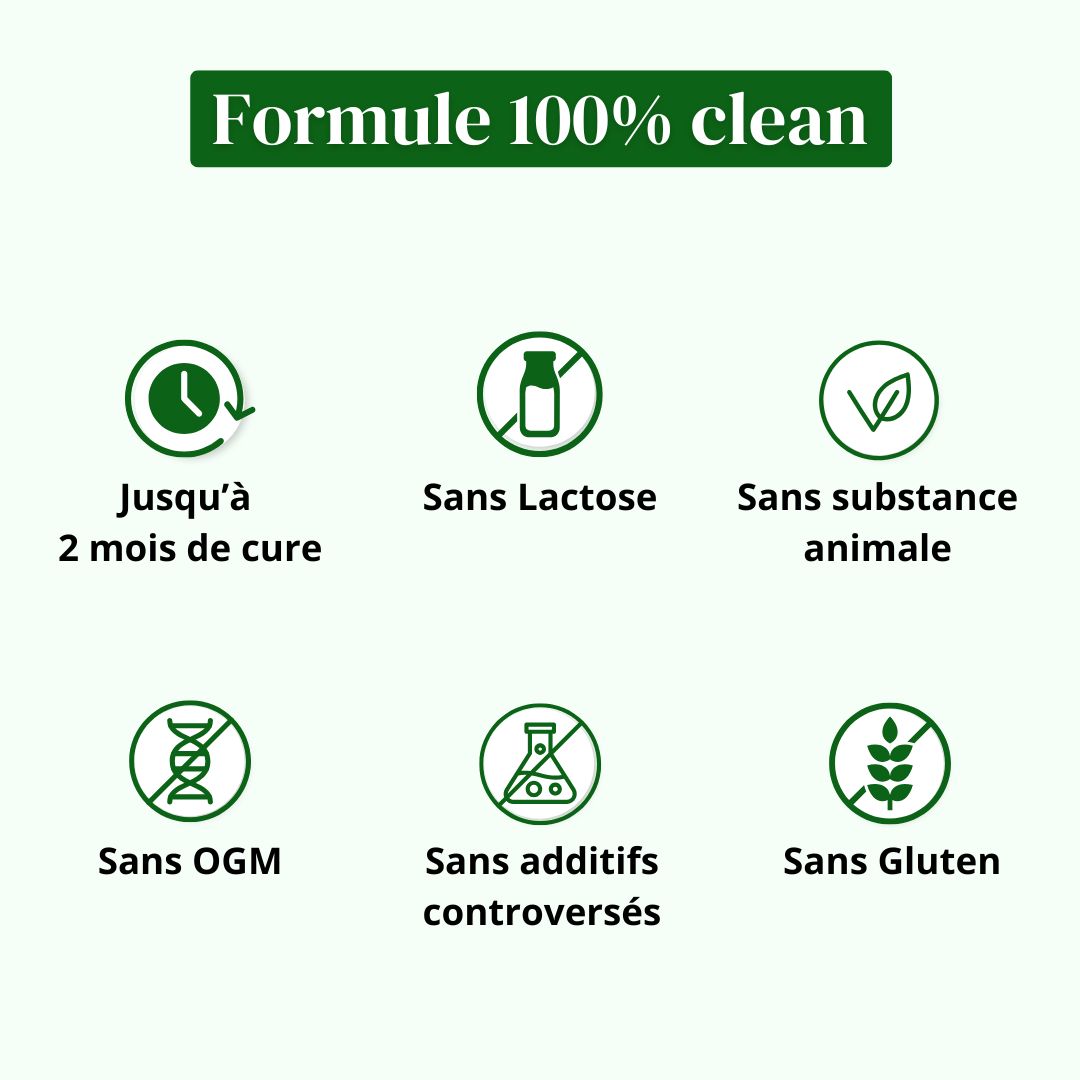 Probiotiques & fibres Prébiotiques