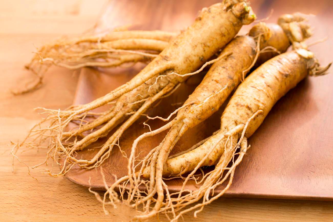 Quels sont les bienfaits, propriétés et vertus du Ginseng