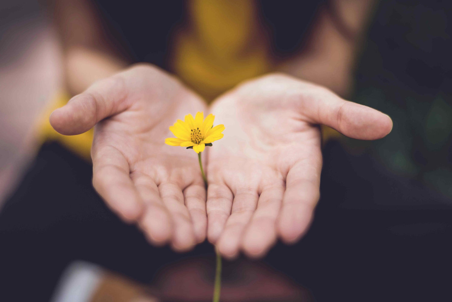 Probiotique : en quoi les probiotiques peuvent-ils vous aider ?